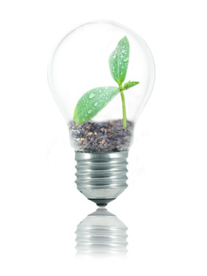 How to ... Create An Eco-friendly Home